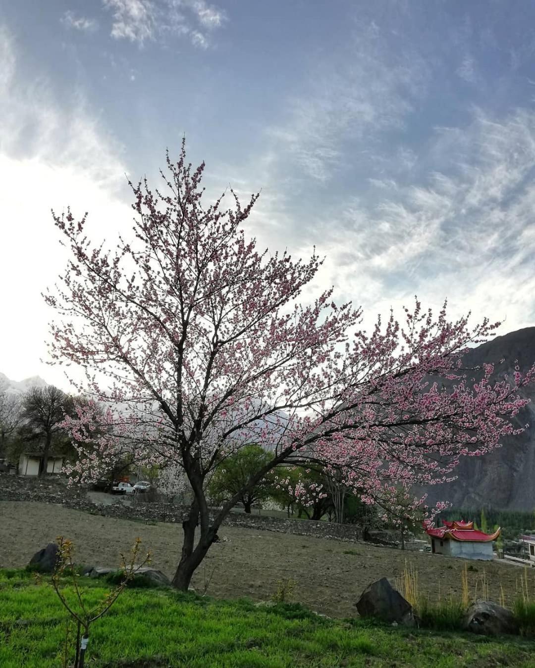 Hikal Guest House Karimabad  Buitenkant foto